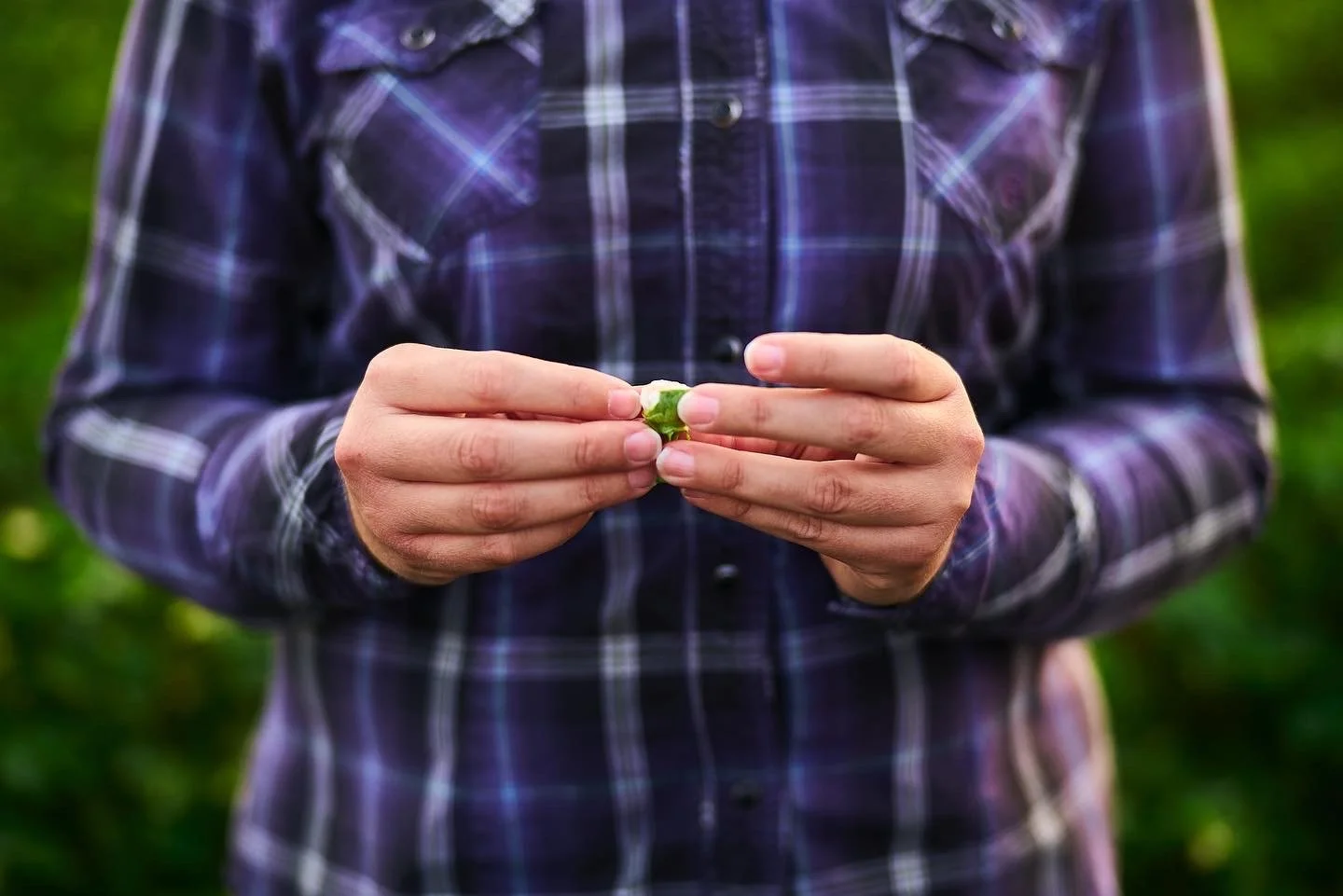 Farmers and Bankers 3