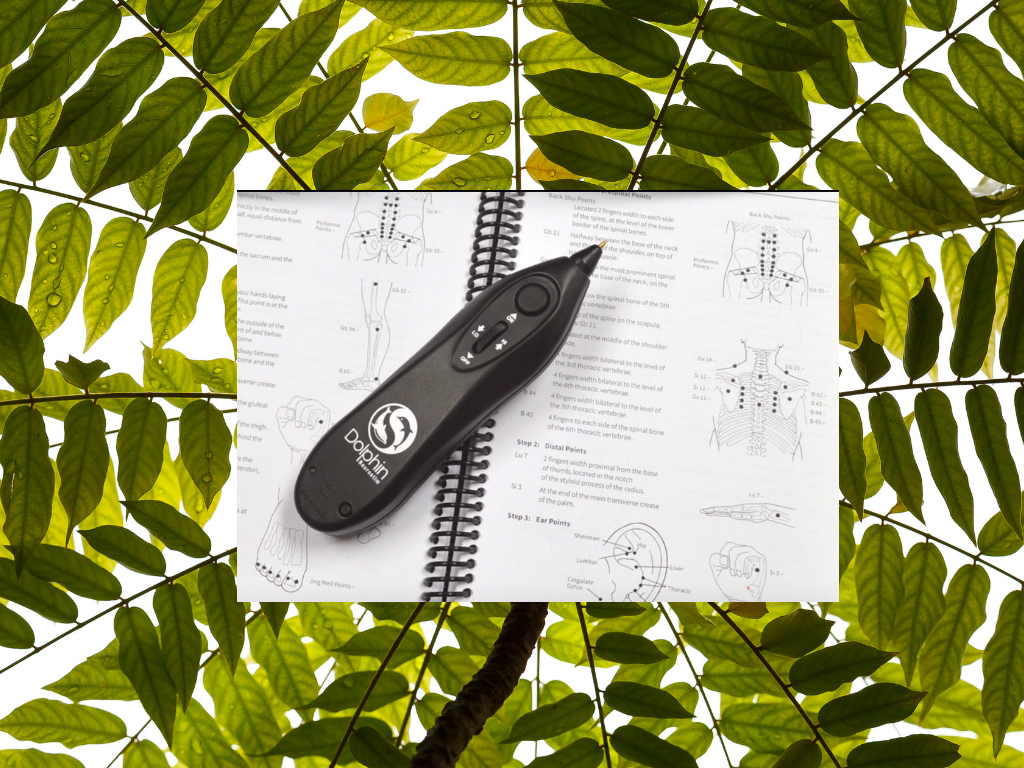 Copy of Presentation - integrative Therapies.PNG