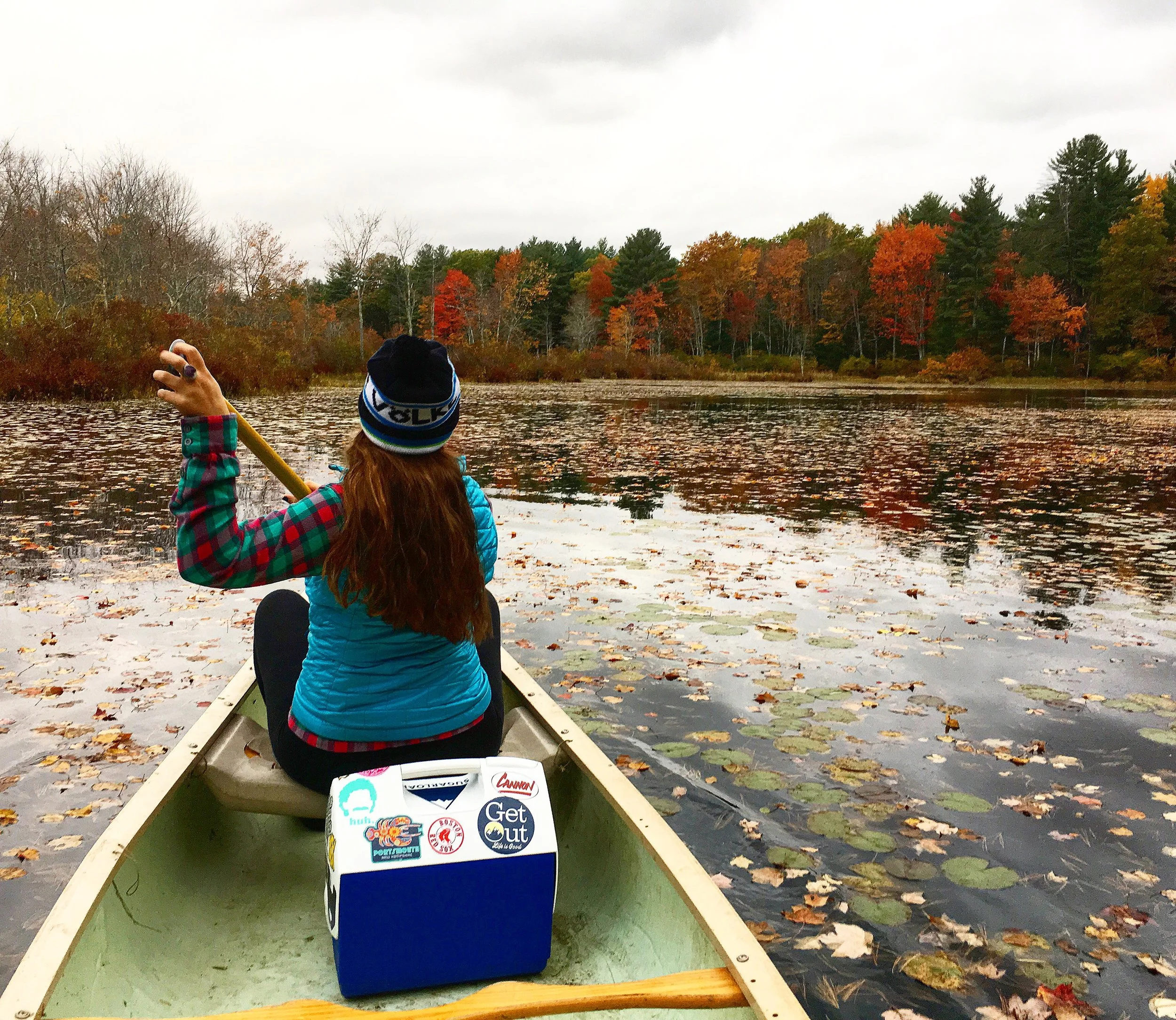 Seacoast Scene, Nov 10 2016 STAY OUTSIDE Read more >