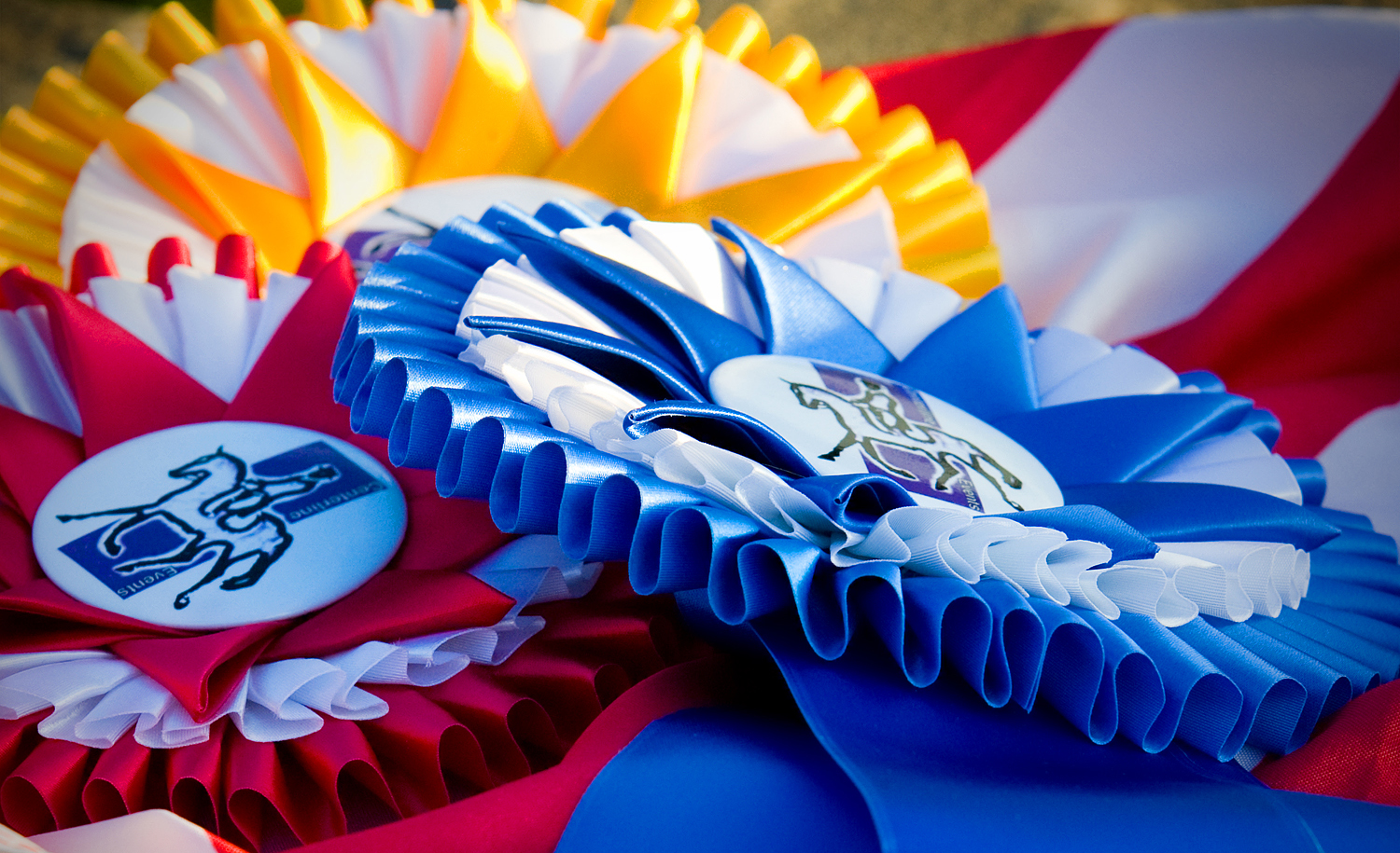 Ribbons.jpeg