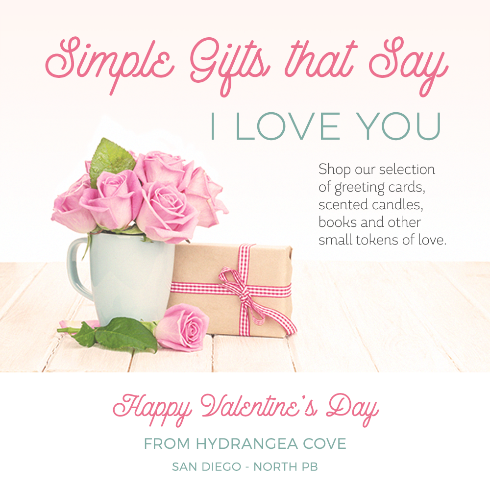 Valentine's Day Social Promo