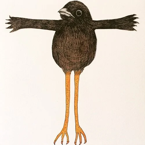 Bird Long Legs