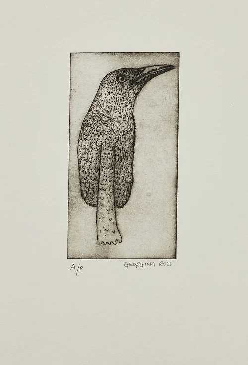 Common Grackle_Georgina Ross.jpg