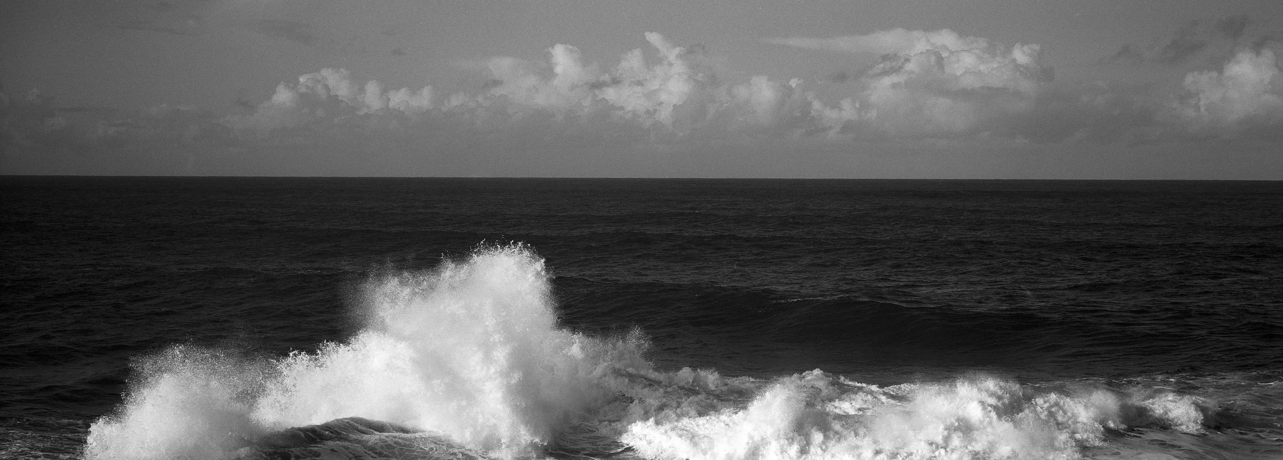 Bombie4 bw copy.jpg