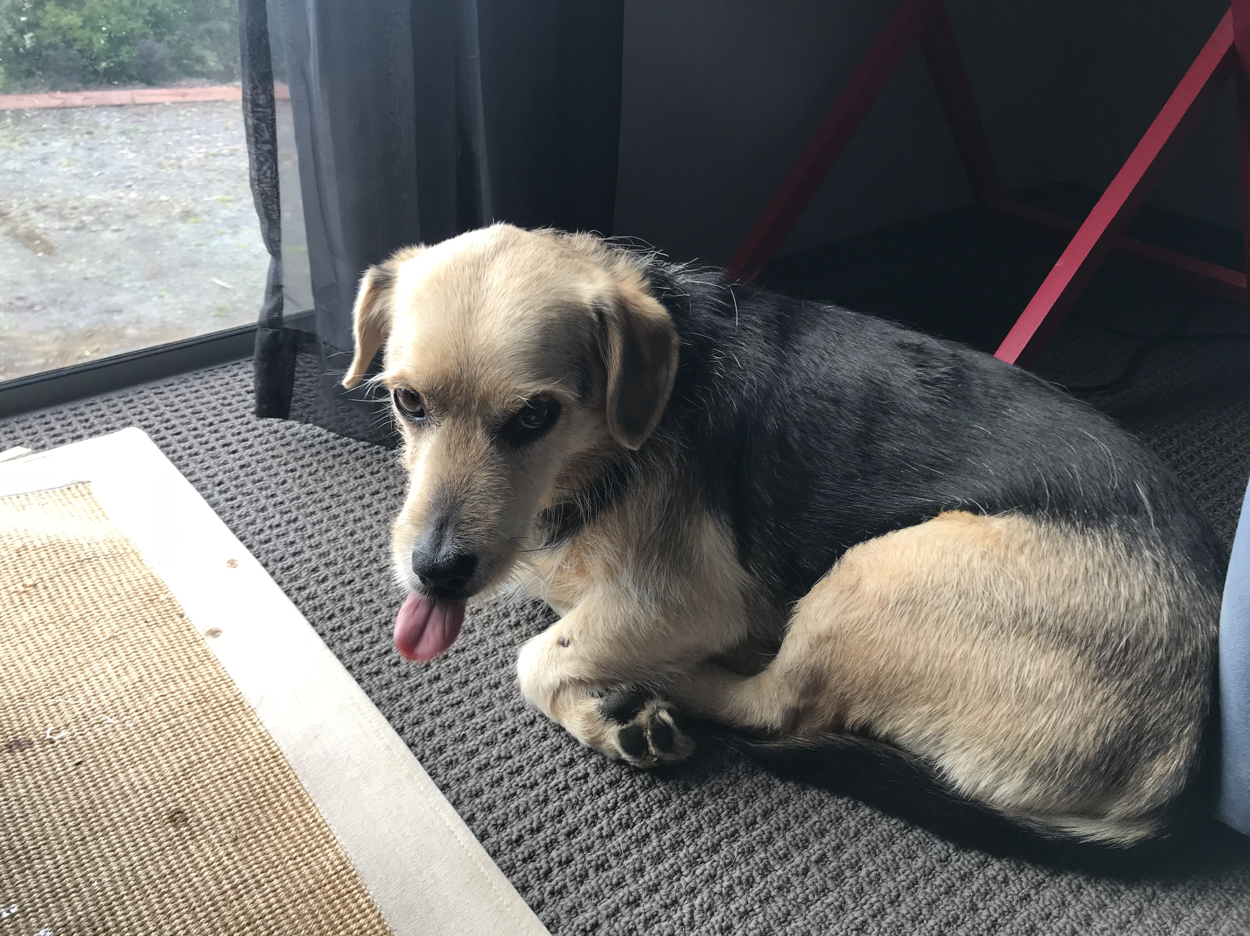 Screenshot 2024-05-04 at 19.45.45.png