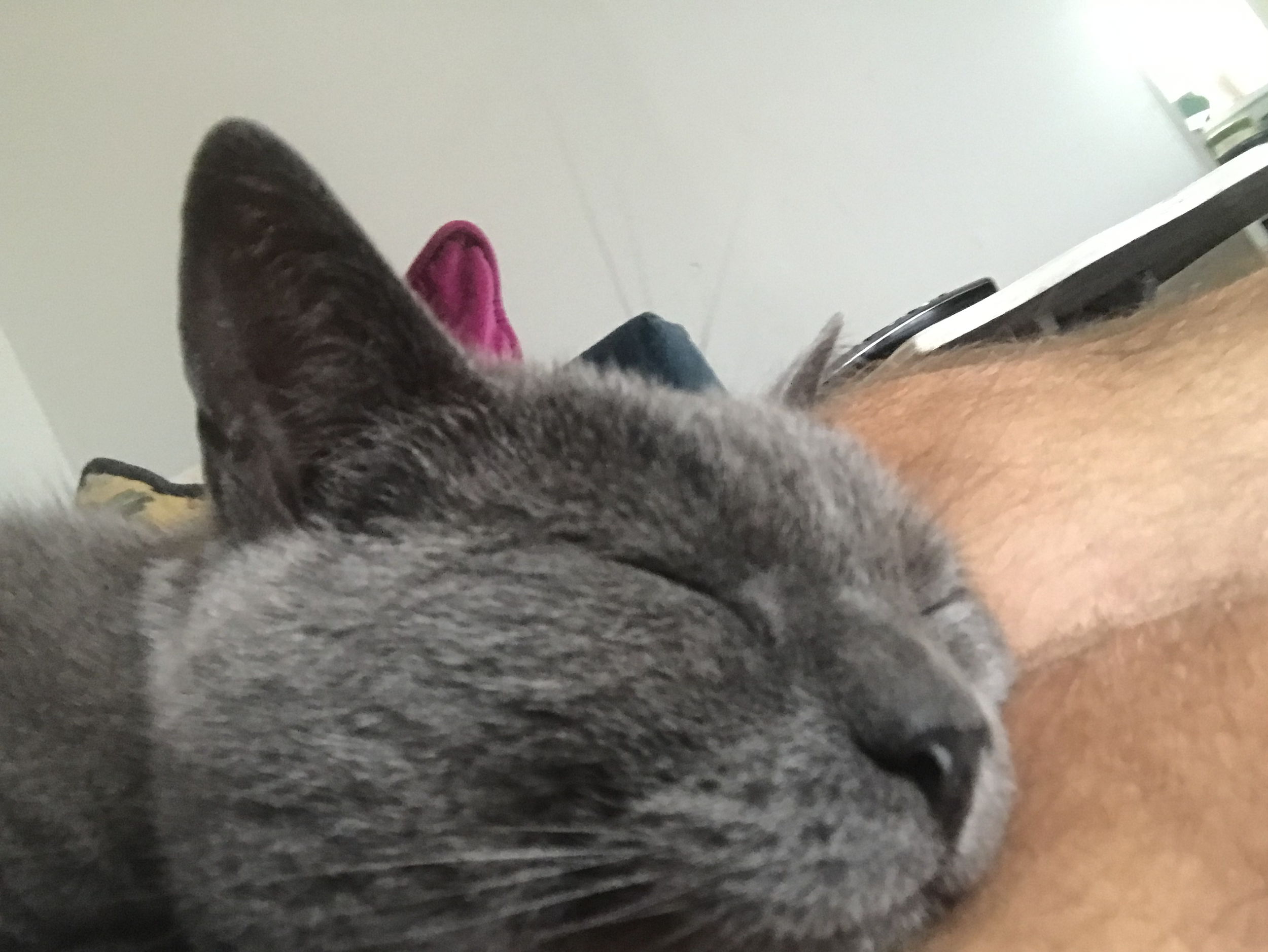 Screenshot 2024-05-04 at 19.46.07.png