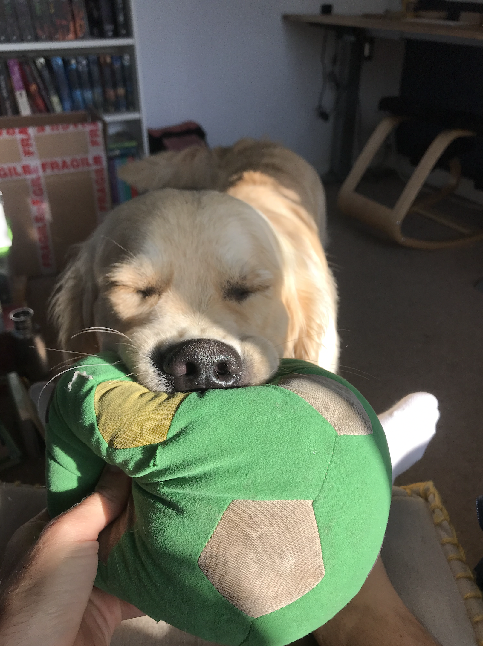 Screenshot 2024-05-04 at 19.48.10.png