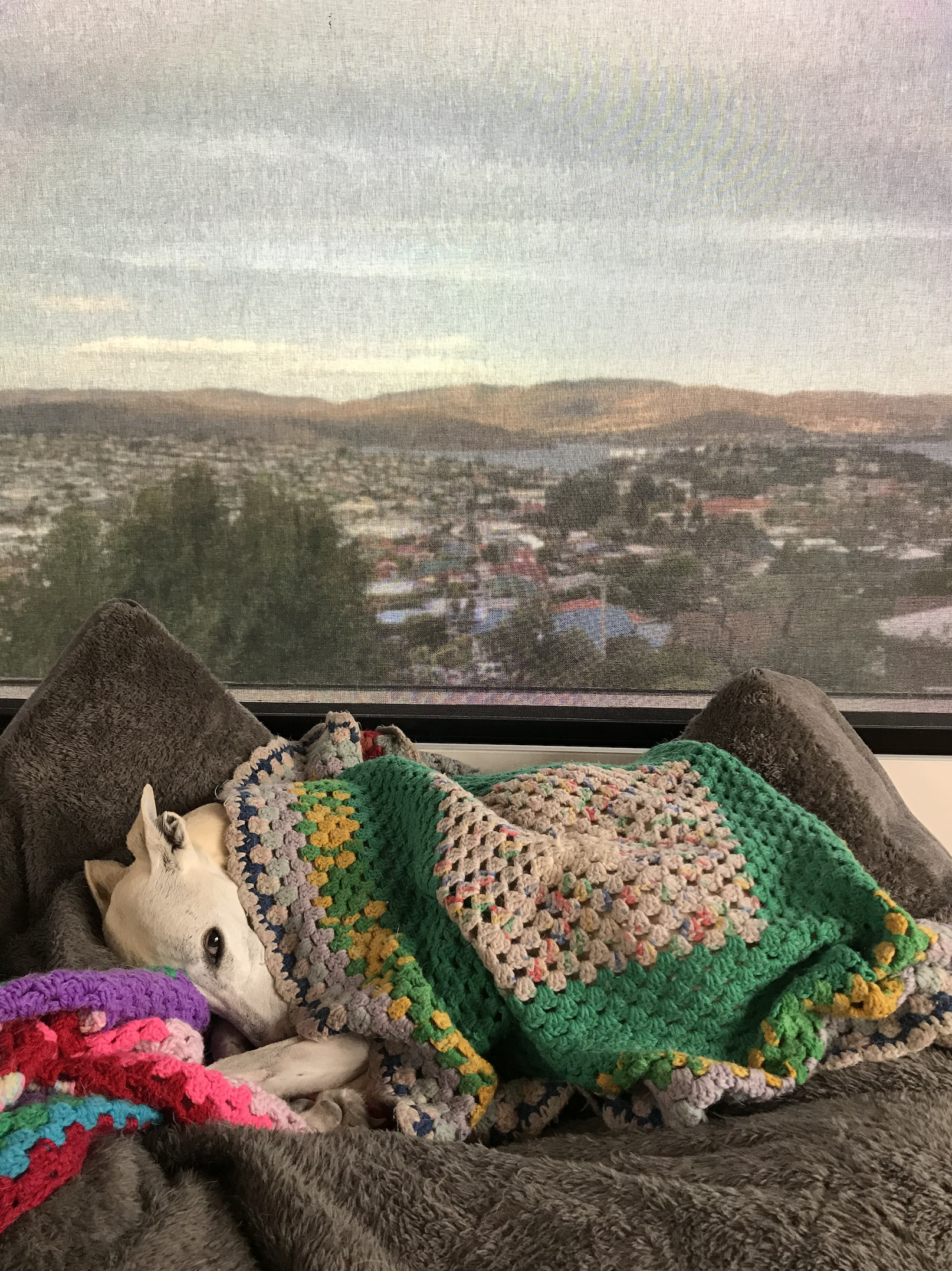 Screenshot 2024-05-04 at 19.44.57.png