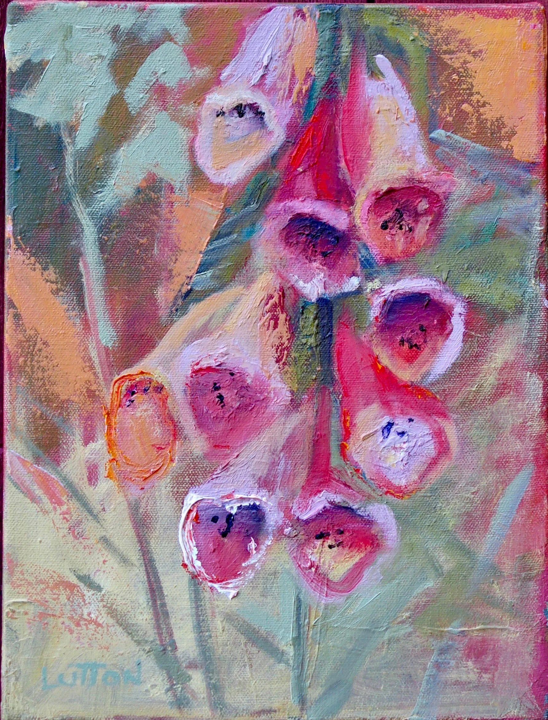Foxglove.jpg