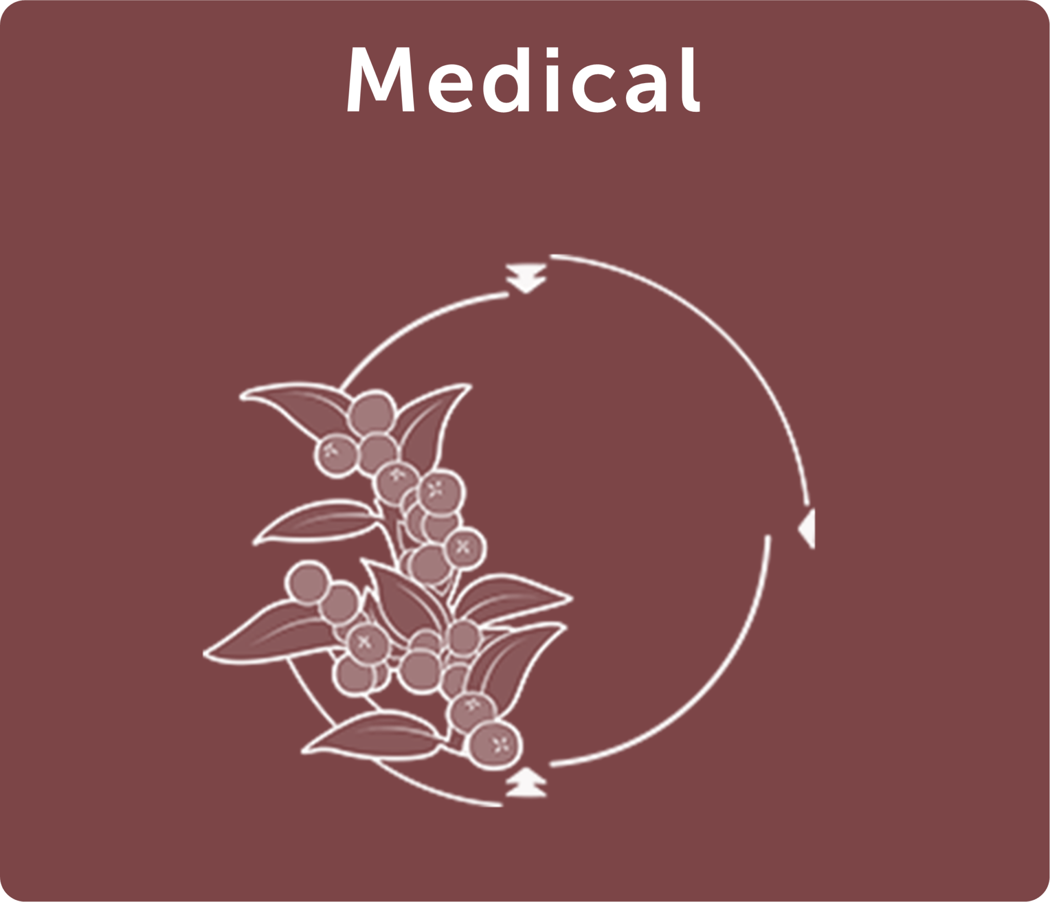 Medical-Icon-2.1-2048x1760.png