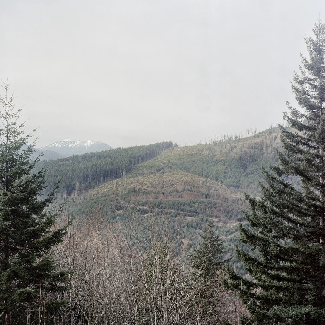 S26 copy.jpg