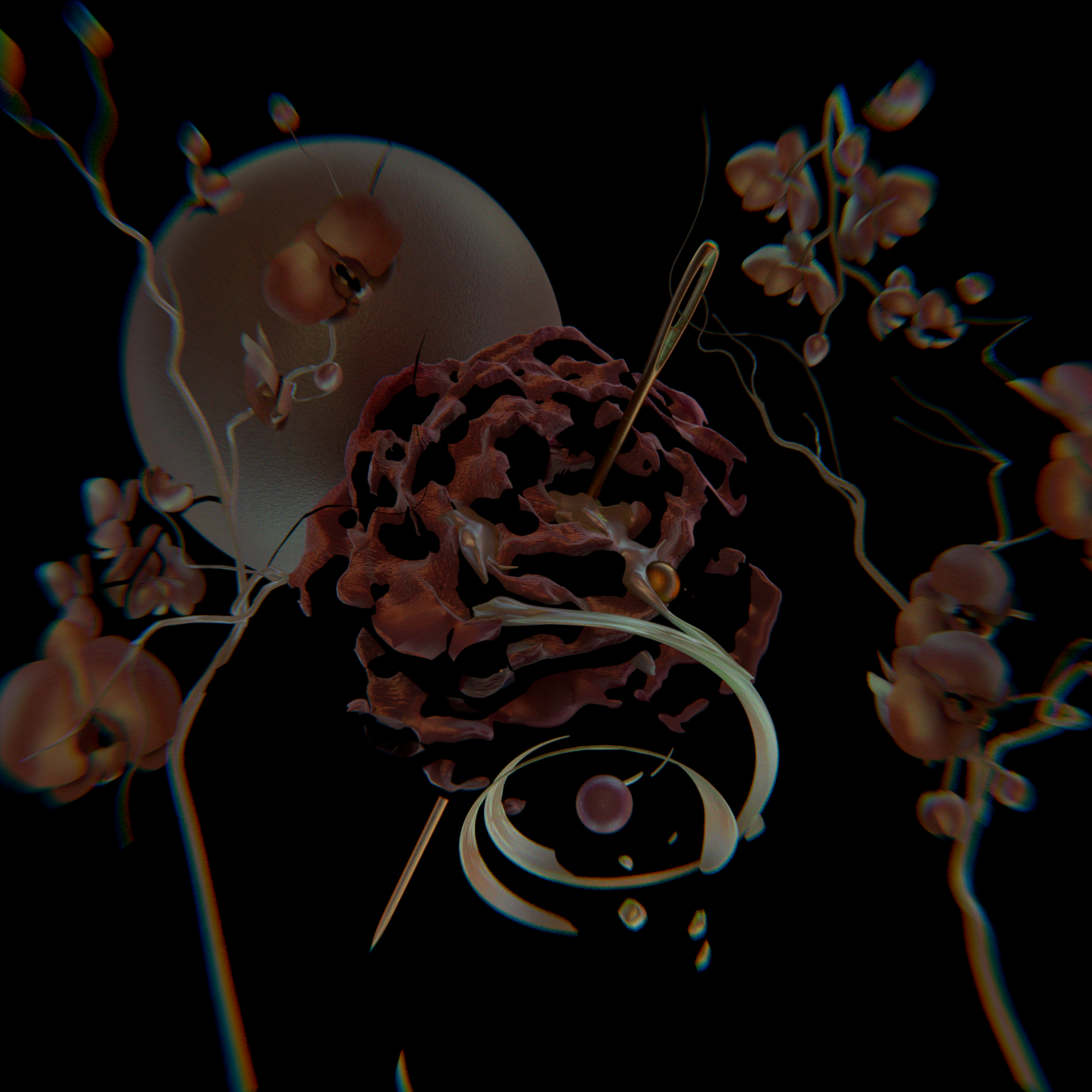 "Nin" Premiered on BBC Radio 6