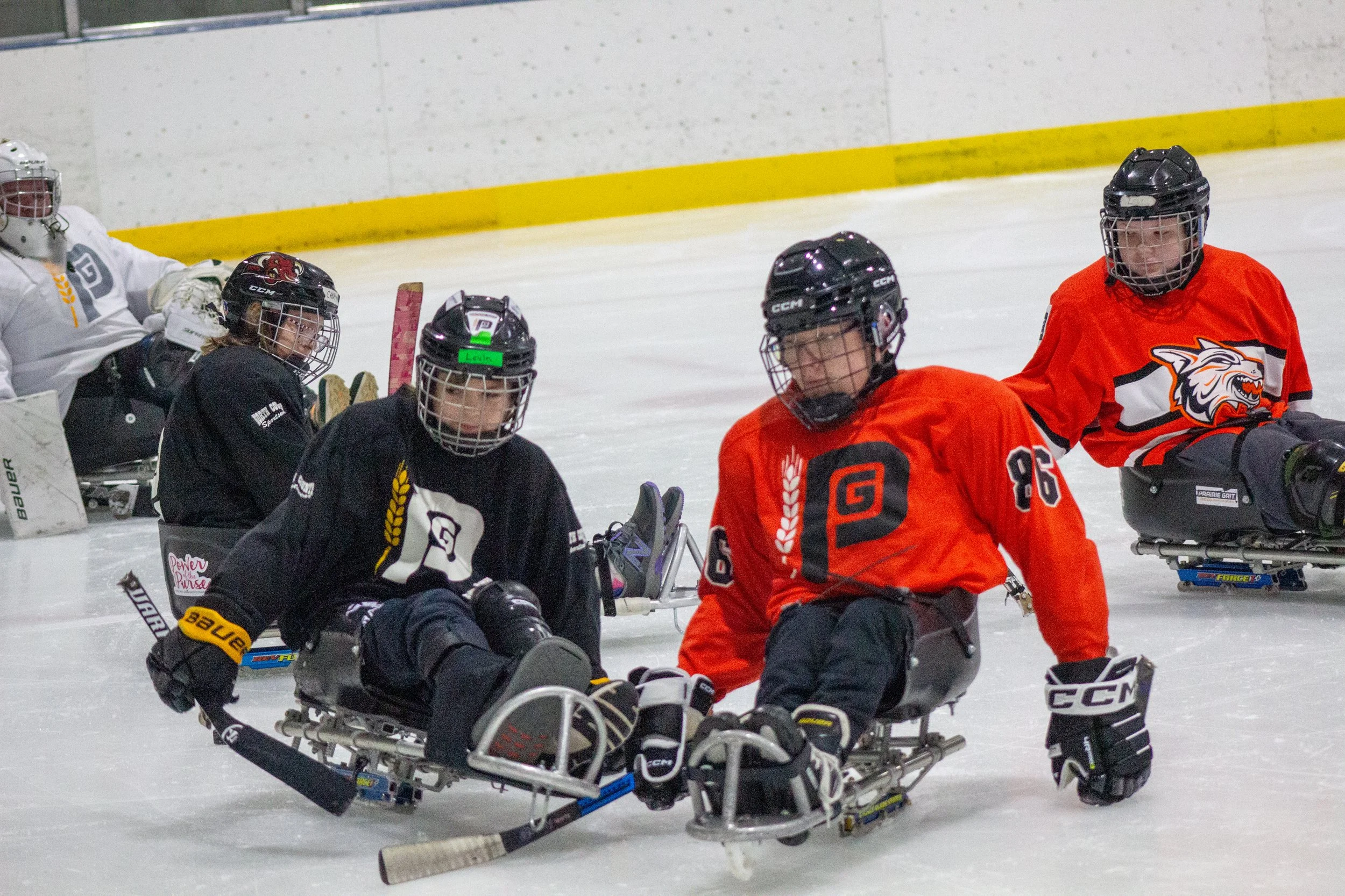 Sled Hockey: Parent Informational Meeting