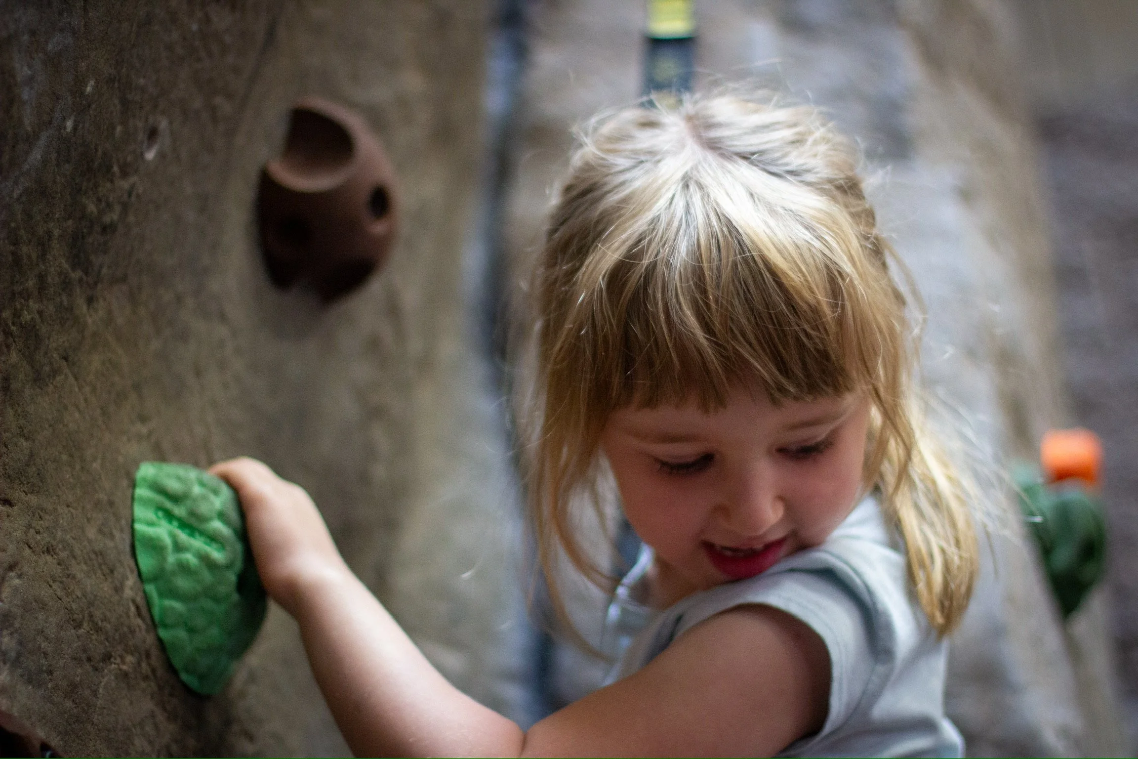 Adaptive Rock Climbing