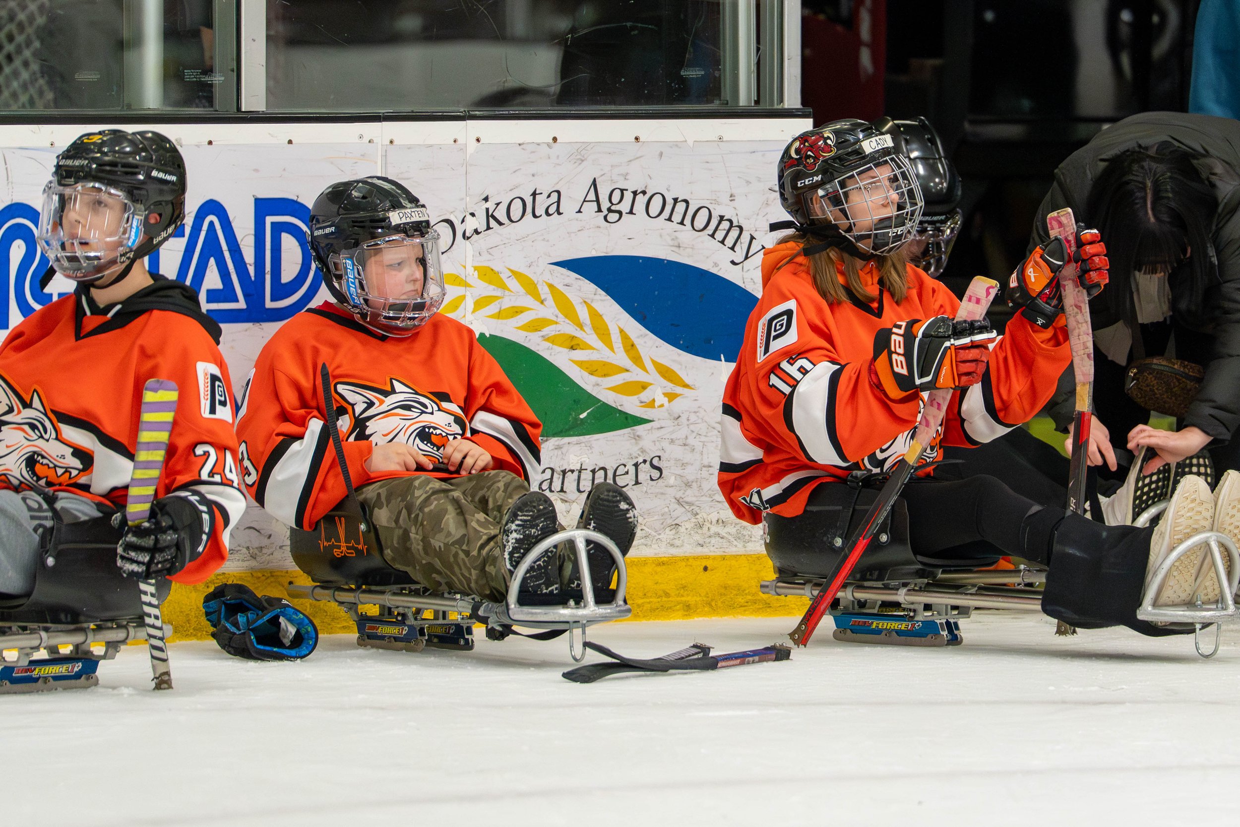 Prairie Grit Wolves Sled Hockey -Tournament