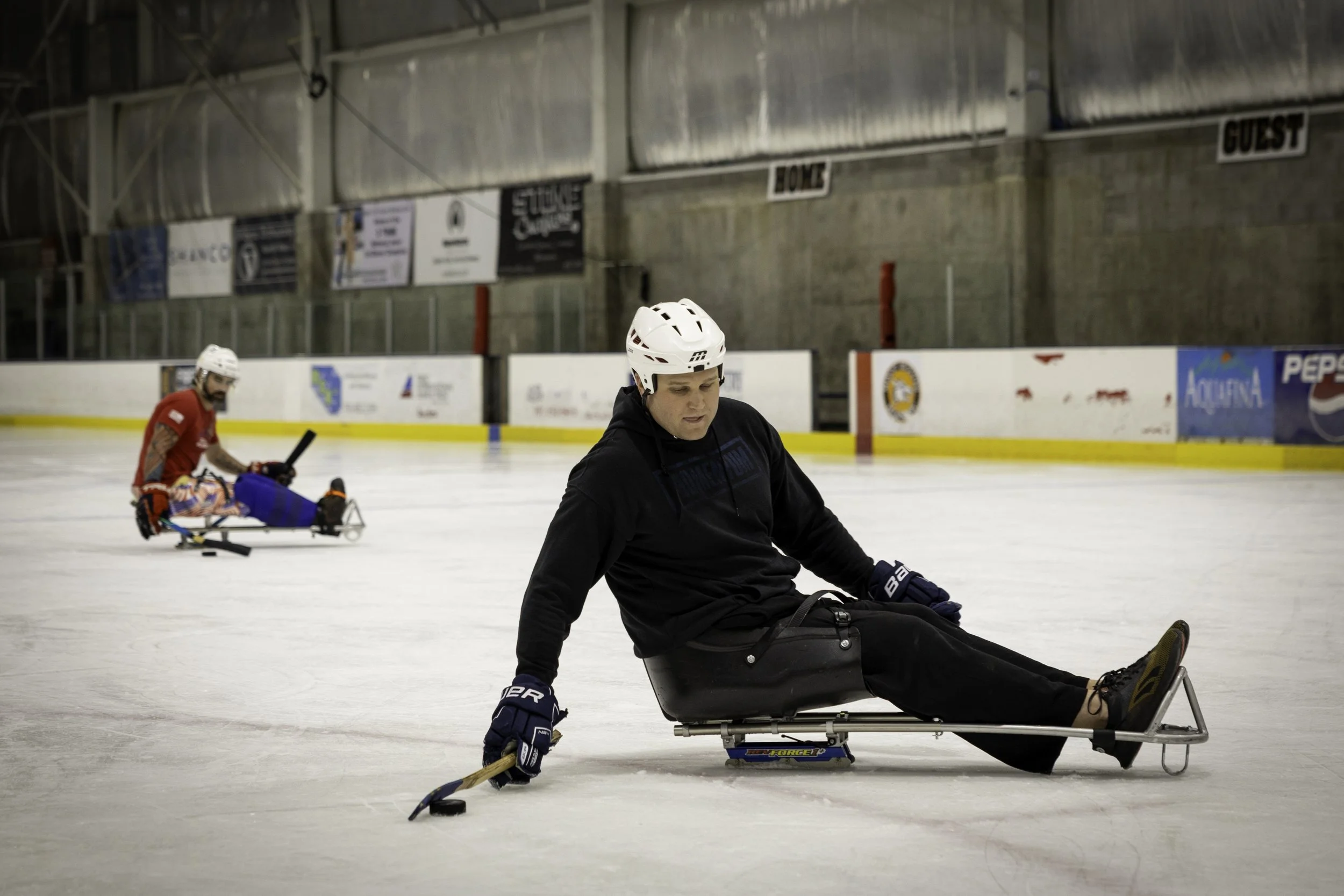Adult Open Sled Hockey