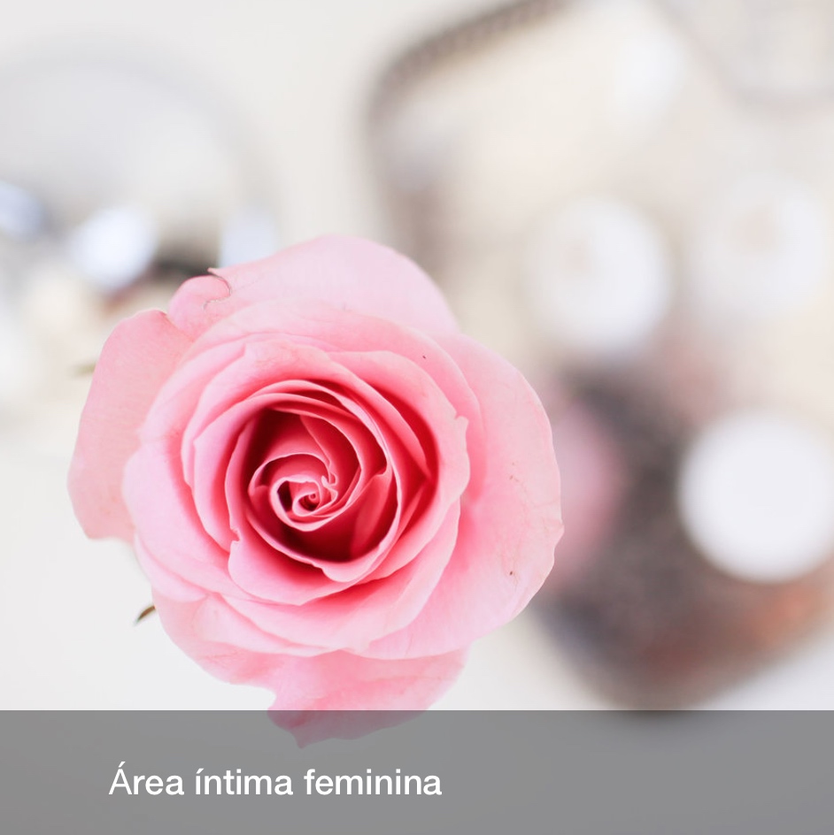 Área íntima feminina Dra Palmyra Geissler.jpg