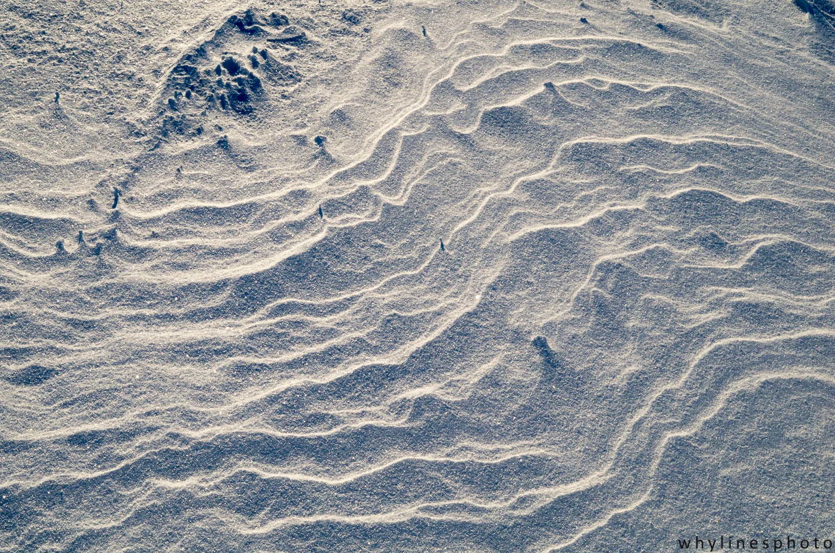 snow1.jpg