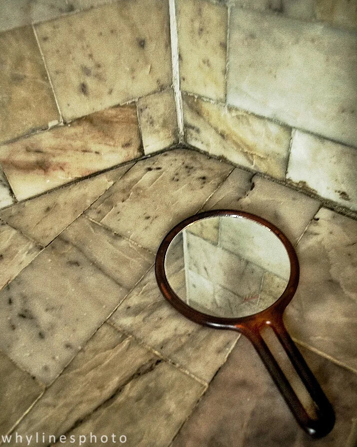 mirror_whylines.jpg
