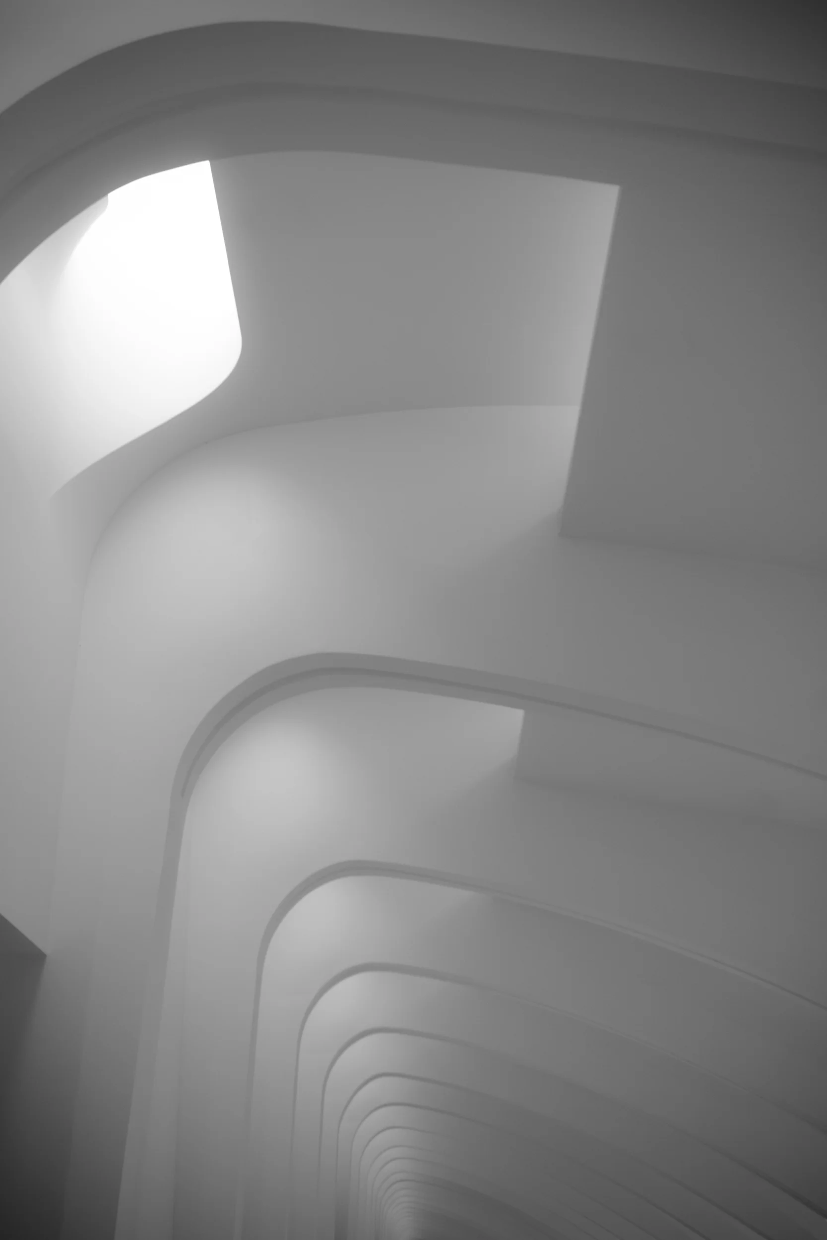 MAM_06.jpg