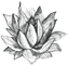 06-icon.png