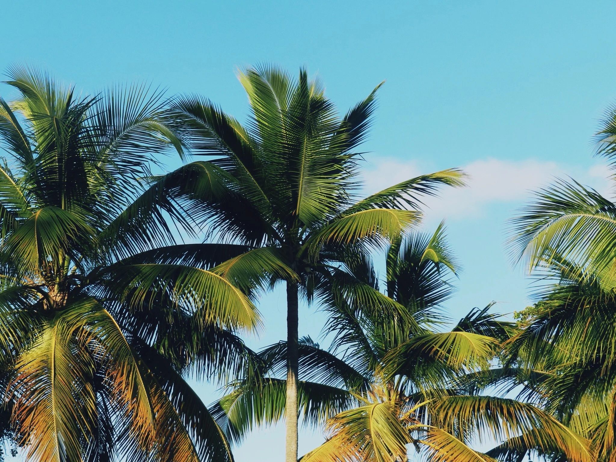 As she Travels - Beauty from Fear: Traveling with Anxiety. 