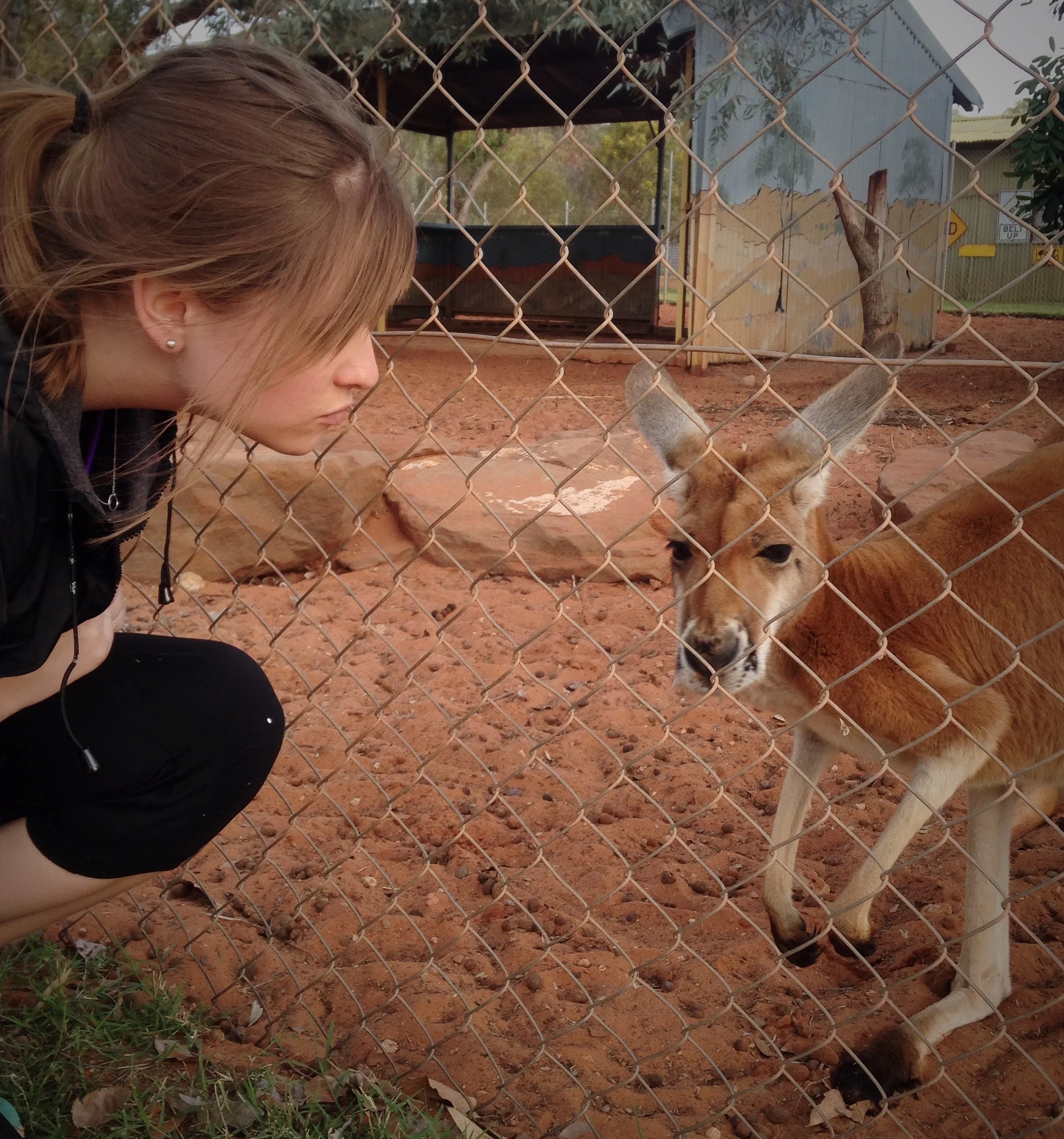 Alice Springs, Australia: How to Set Yourself up for Incredible Memories