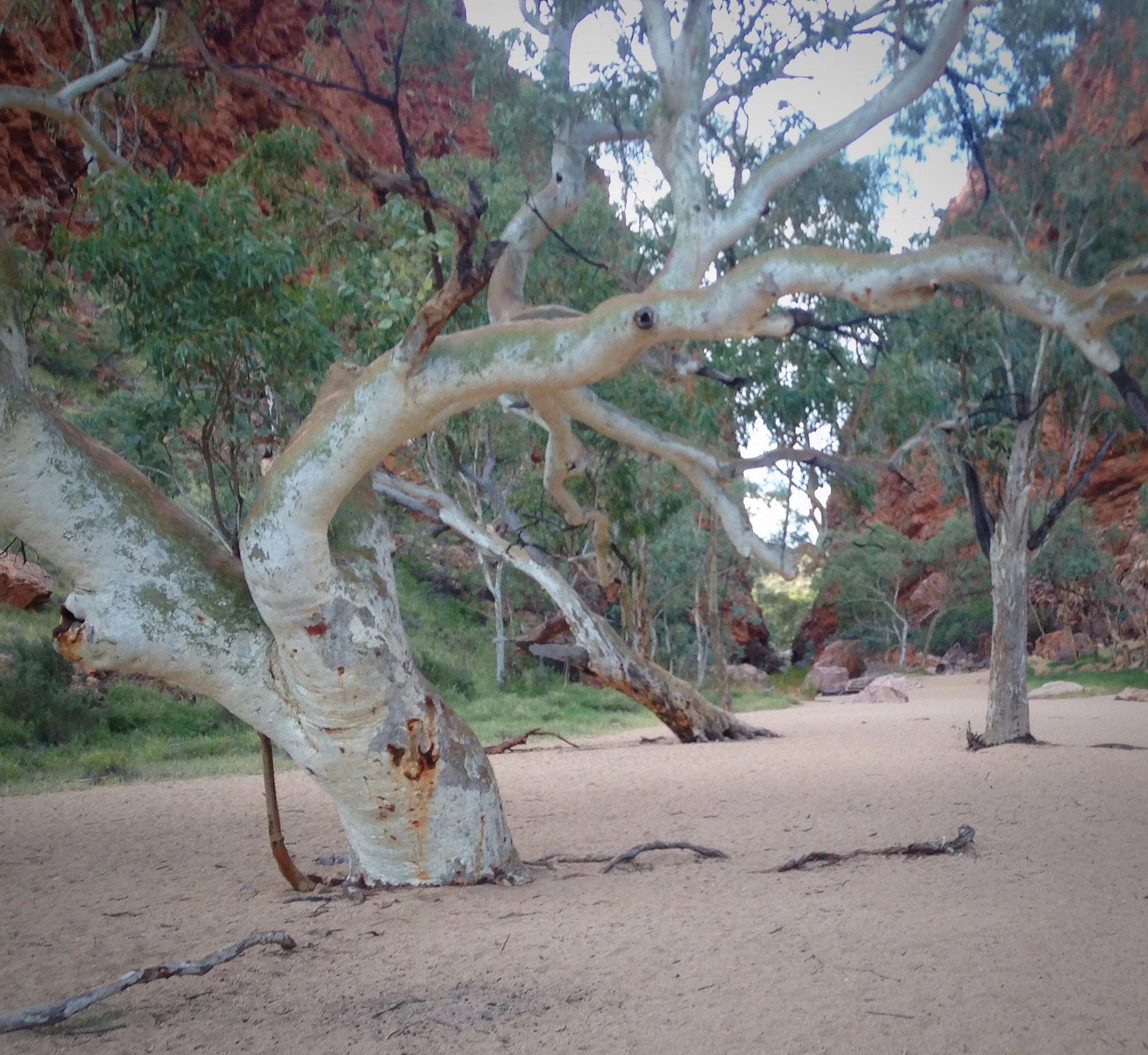 Alice Springs, Australia: How to Set Yourself up for Incredible Memories
