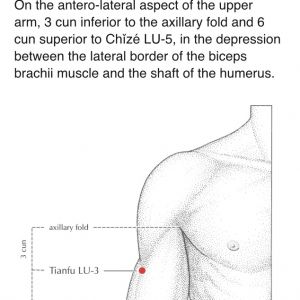 Lung 3 from A Manual of Acupuncture by Deadman, Al-Khafaji and Baker