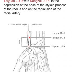 Lung 8 from A Manual of Acupuncture by Deadman, Al-Khafaji and Baker