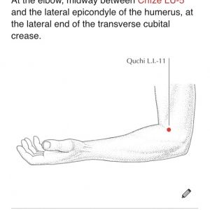Large Intestine 11 from A Manual of Acupuncture by Deadman, Al-Khafaji and Baker