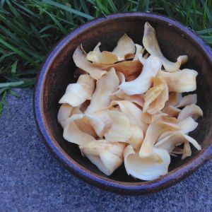 Bai He (Lily bulb)