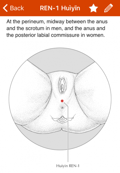 Points woman a pleasure of Clitoris (3D)