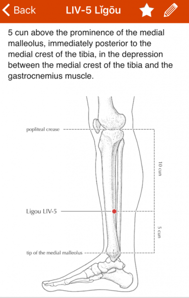 Sexual Foot Pressure Points Chart