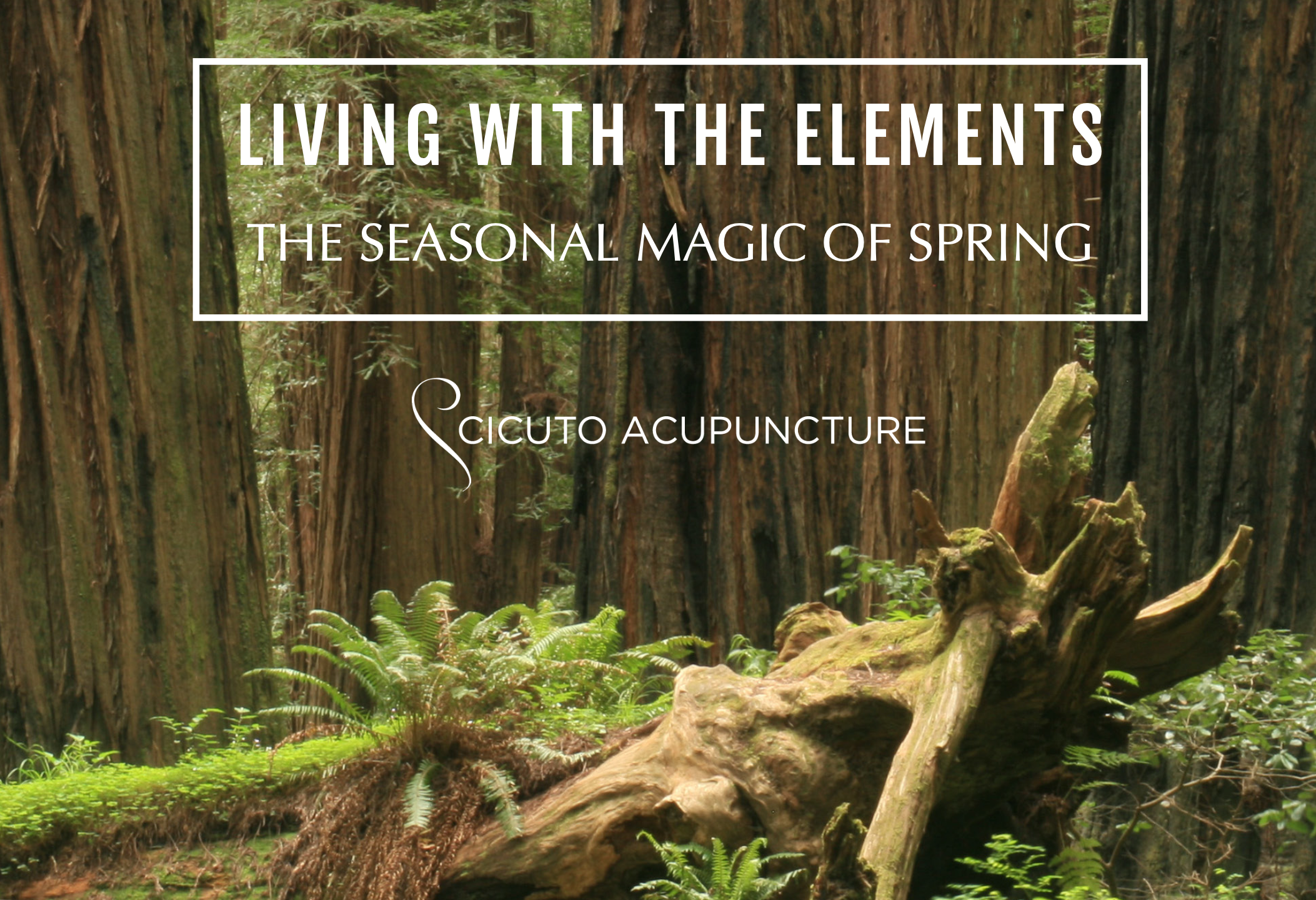 Screenshot 2026-03-11 at 11.00.19 AM.png