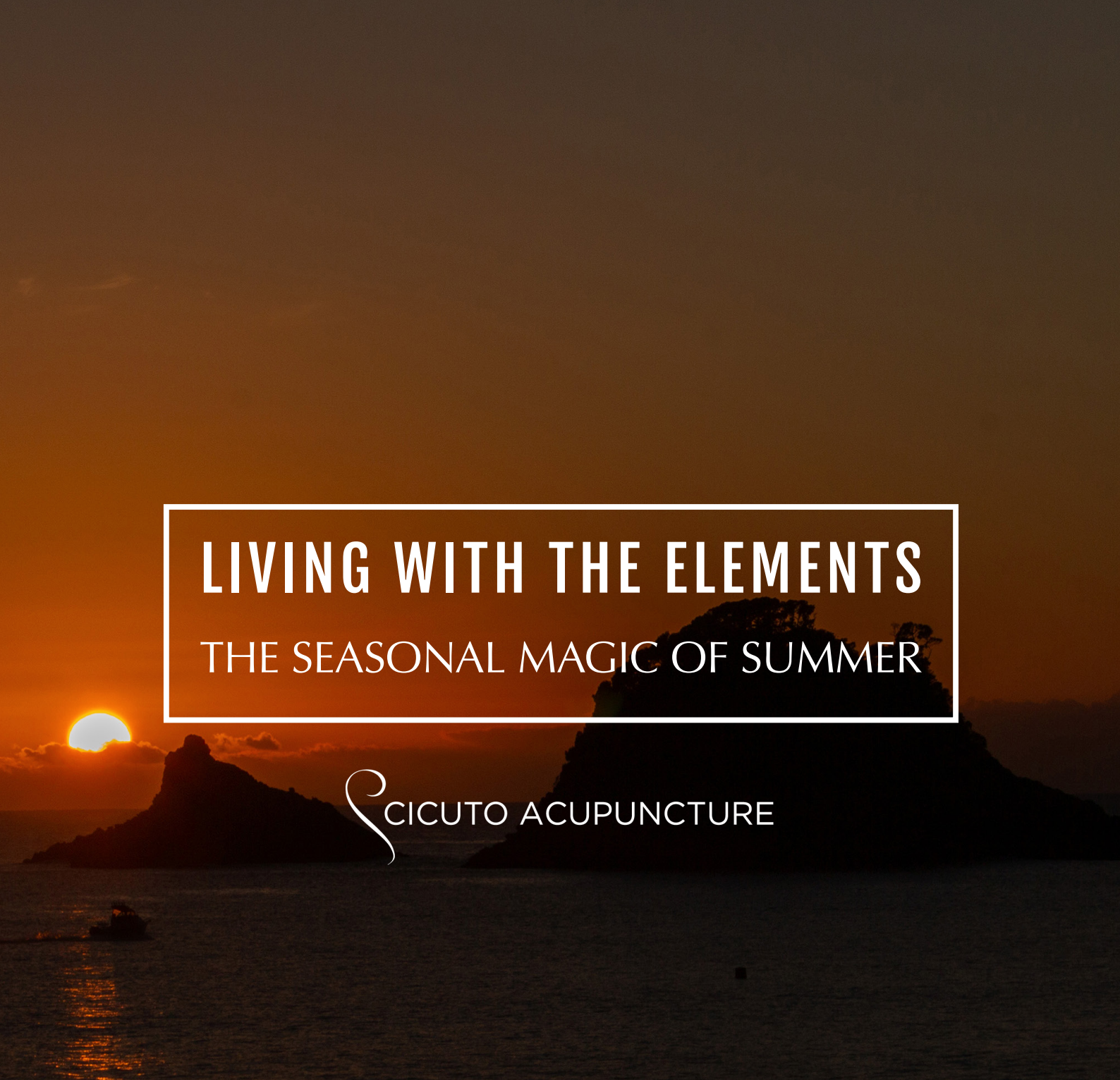 Seasonal magic of summer cover.png