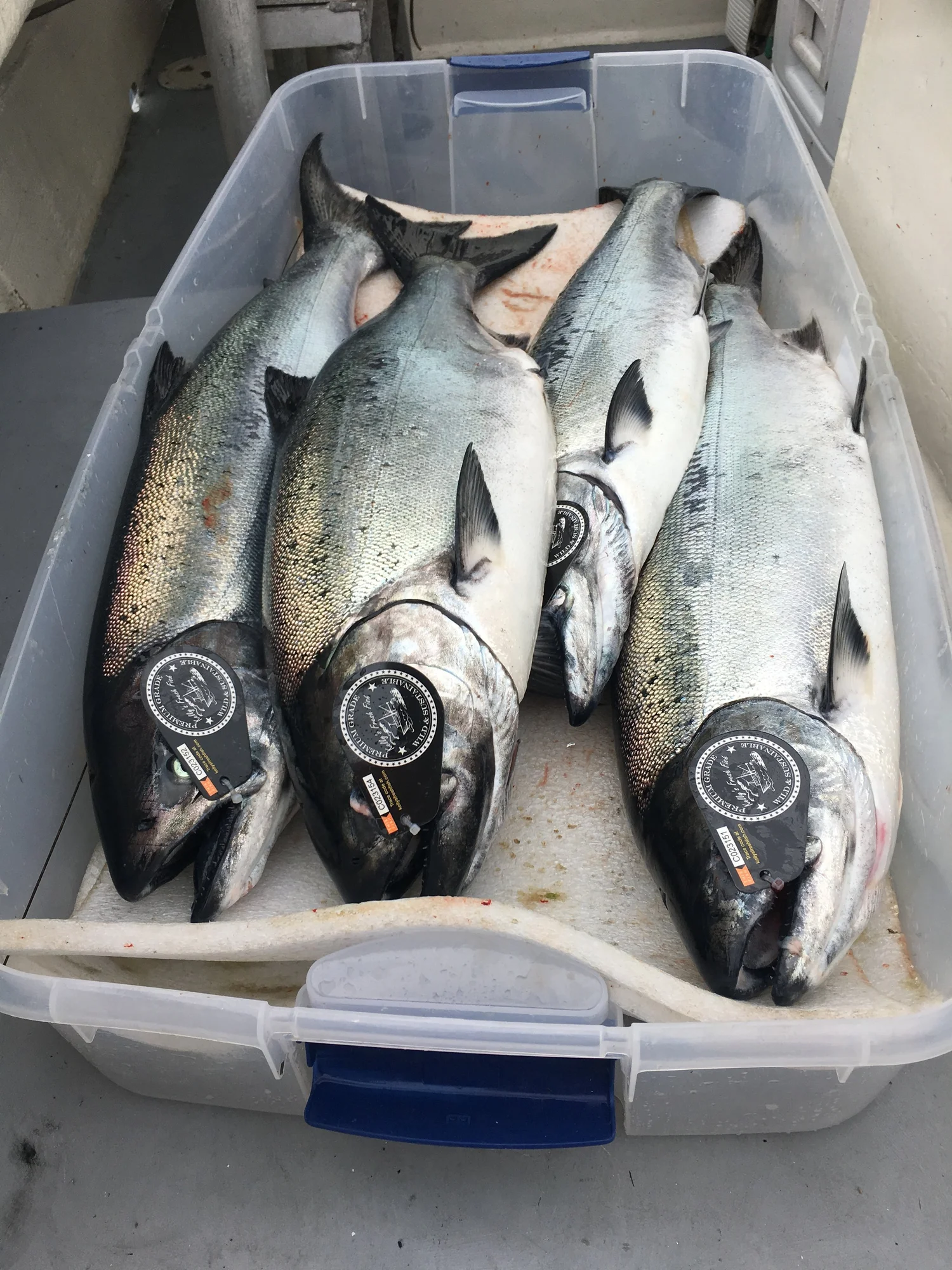 ◇Fish Market◇２２×２０×１５◇ ◇ Longtime Long Beach Island Fish Market Puts Property on Market for