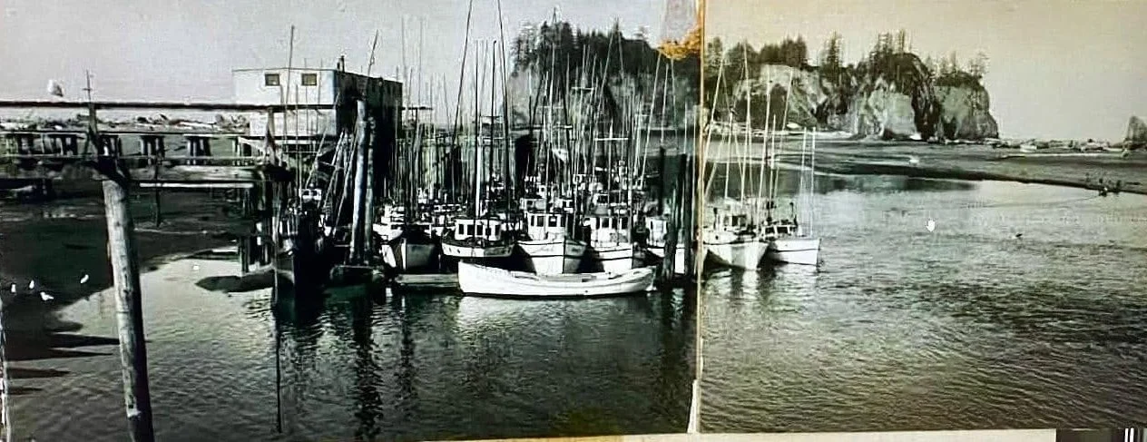 The La Push Fishing Fleet and Harbor