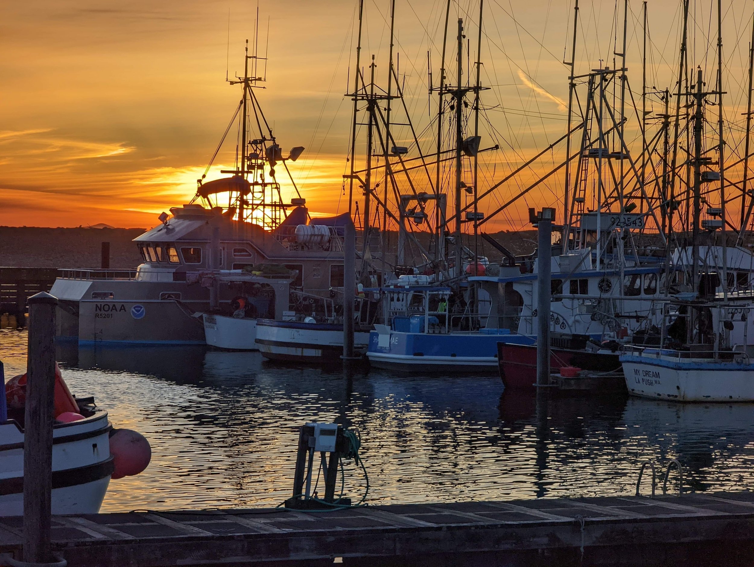LaPush Harbor.jpg