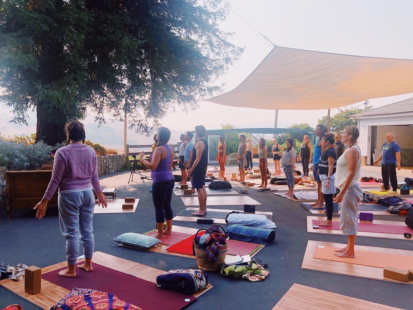We are now accepting applications for our next 200 hour Yoga Teacher Training led by @mcyogi &amp; @10000buddhas ! It will be a monthlong immersive experience that will take place in our outdoor yoga space in Point Reyes, CA.  Link in bio for details