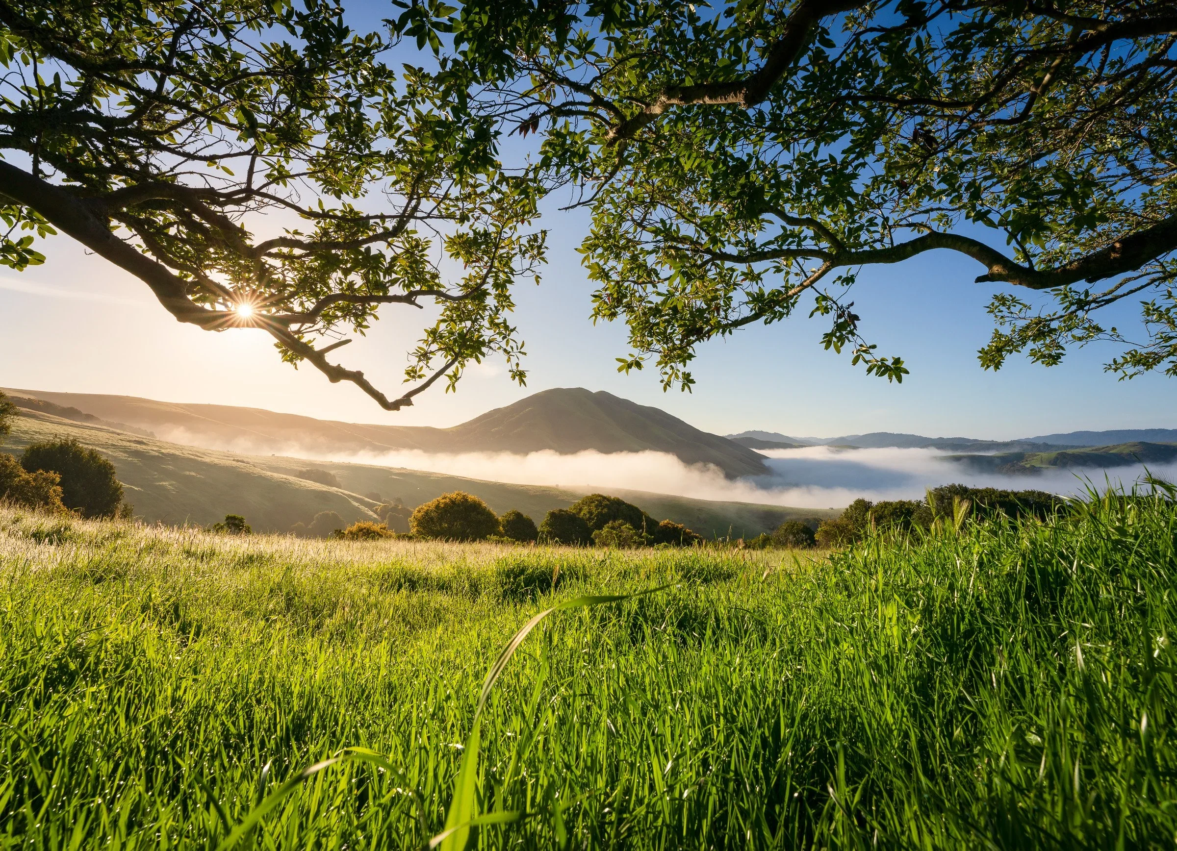 Abundance Flow Workshop