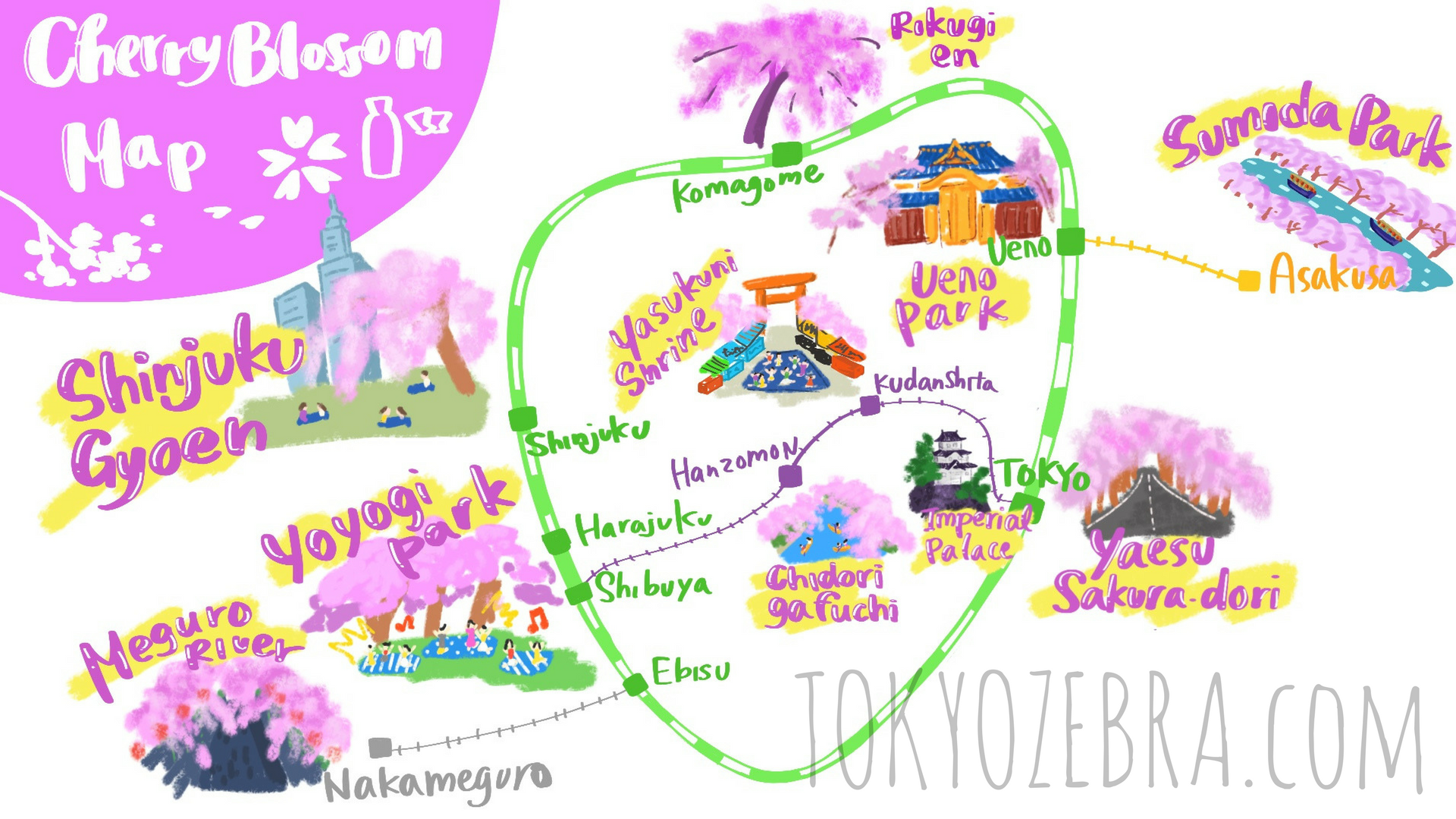 Paolo from Tokyo - Cherry Blossom Map.png