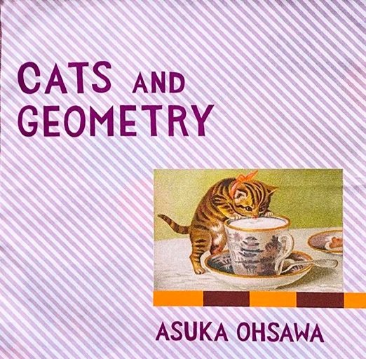 Cats+and+Geometry_Cover.jpg