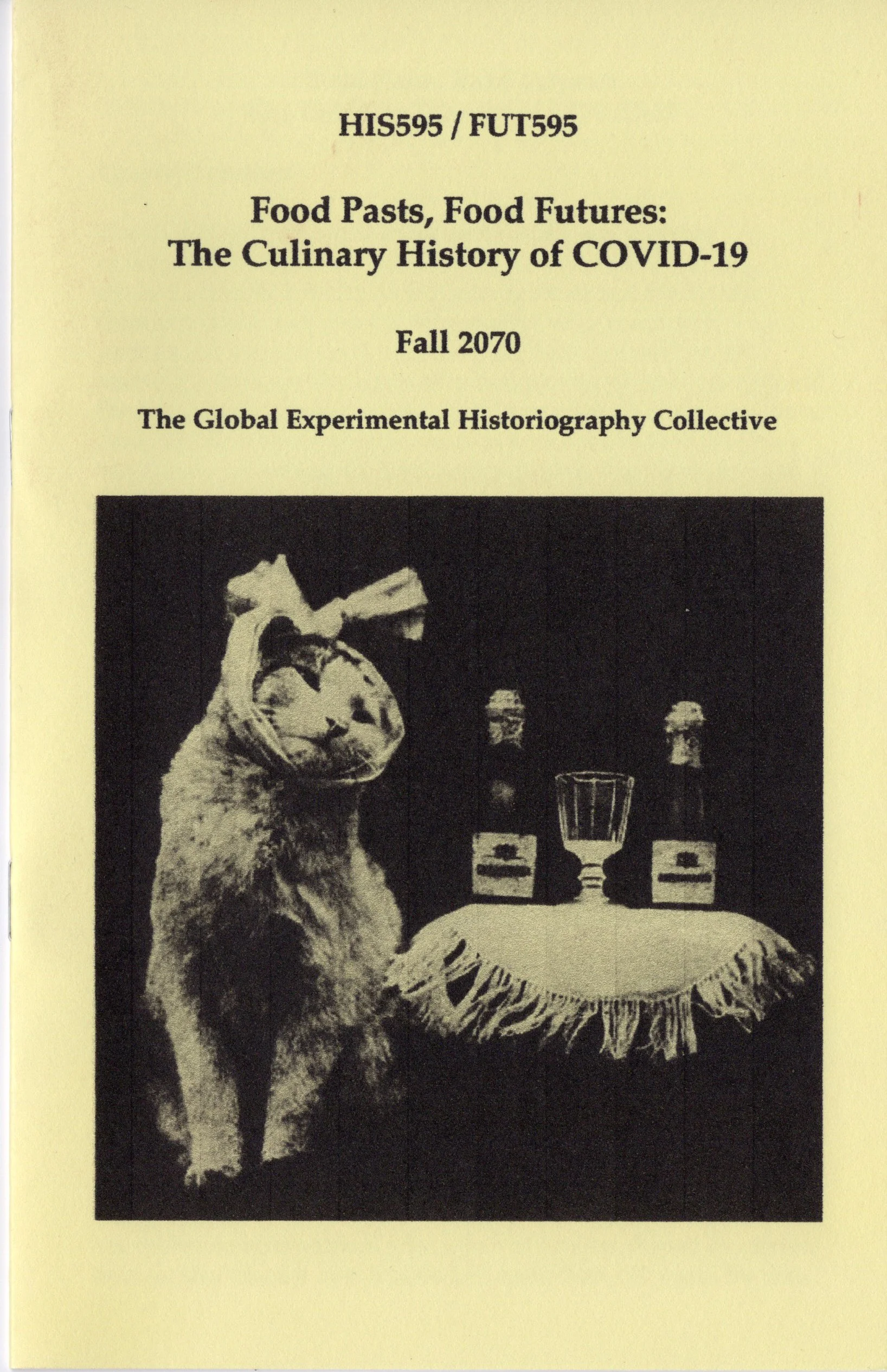 covid zine_cover.jpeg