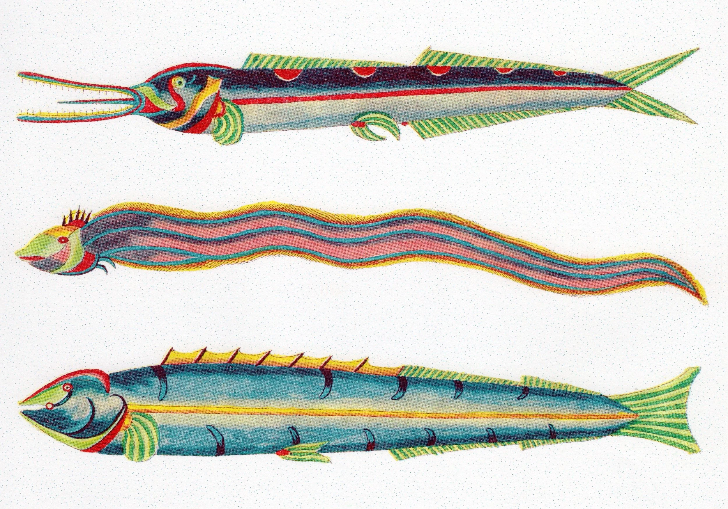 fish_08.jpeg