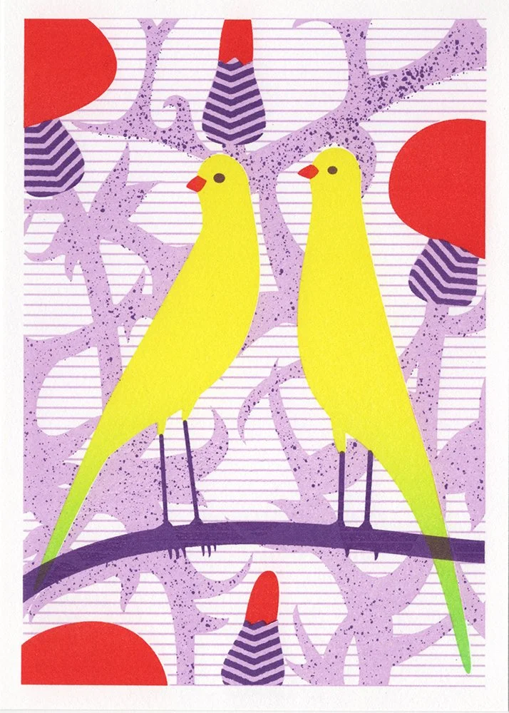 Aviary Print_06.jpg