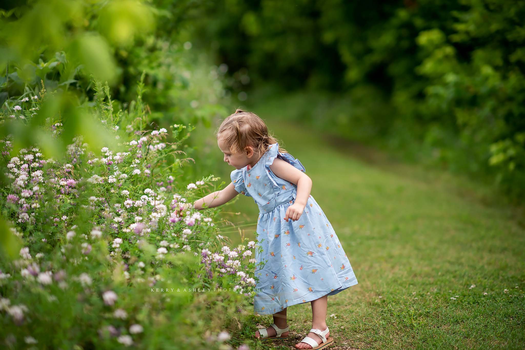 toddler-picking-flowers-blue-dress.jpg