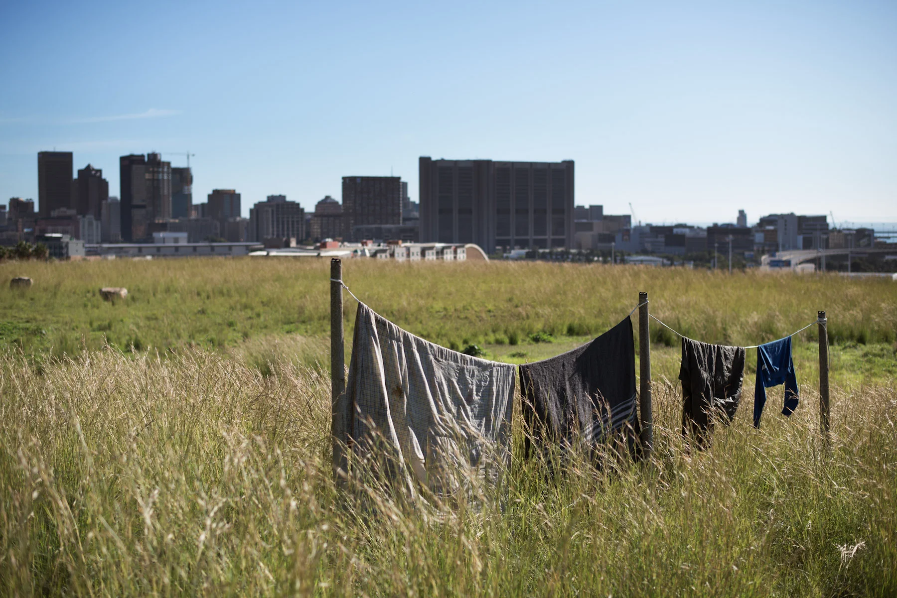 Old fence posts are used to make an impromptu washing line - June 2013