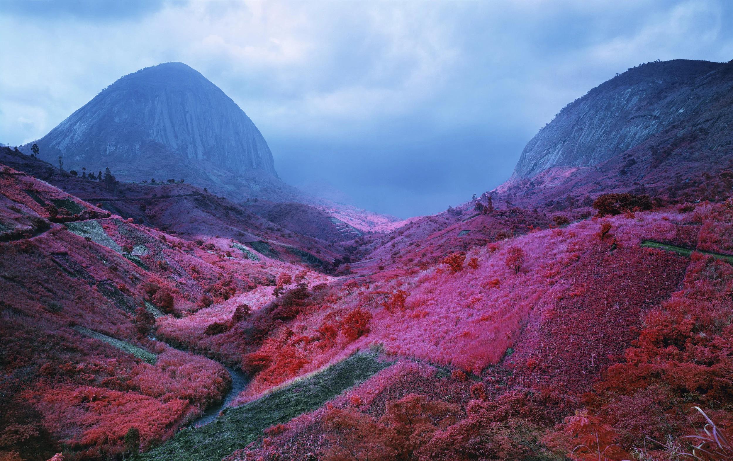 Poison Glen, South Kivu, Eastern Congo, 2012 Digital C print, 50 x 80 inches© Richard Mosse Courtesy of the artist and Jack Shainman Gallery