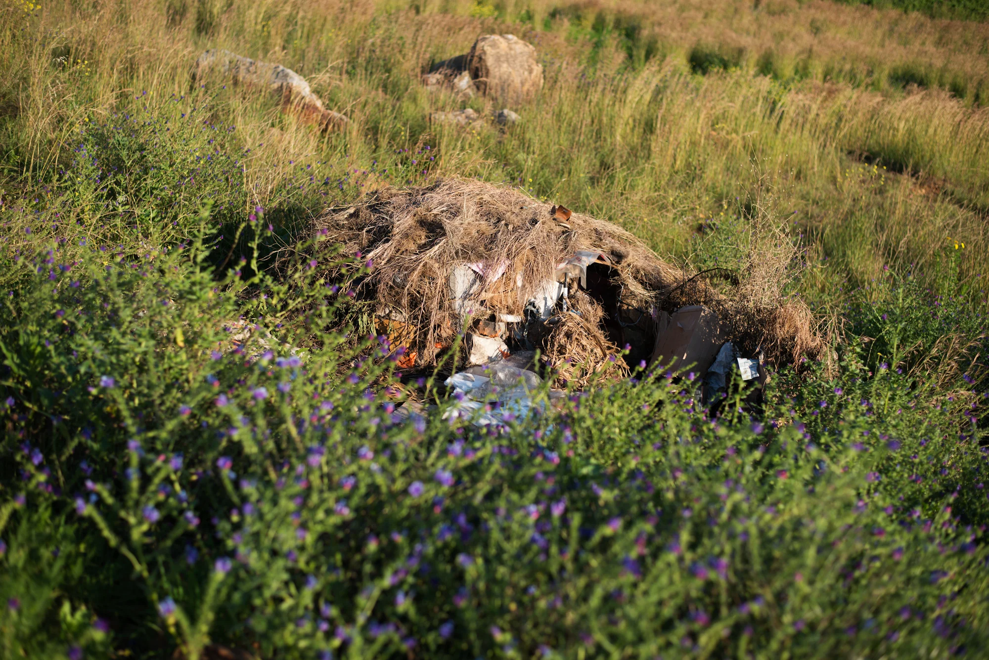 Thatched home - August 2013